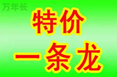 广东省清远市清城区龙塘镇公墓